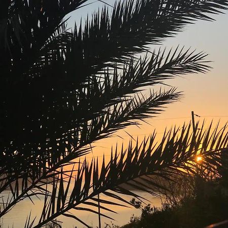 Villa Konstantina Skaliá Dış mekan fotoğraf