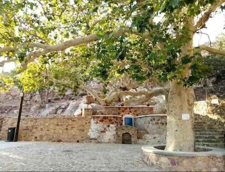 Villa Konstantina Skaliá Dış mekan fotoğraf
